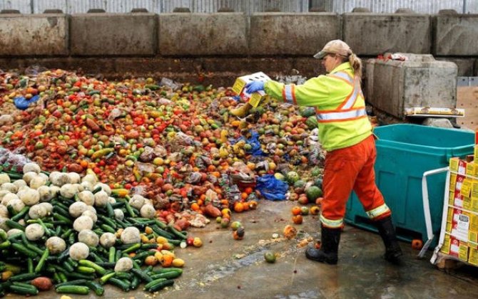 ООН: Ежедневно в мире в мусор выбрасывают 1 млрд порций еды