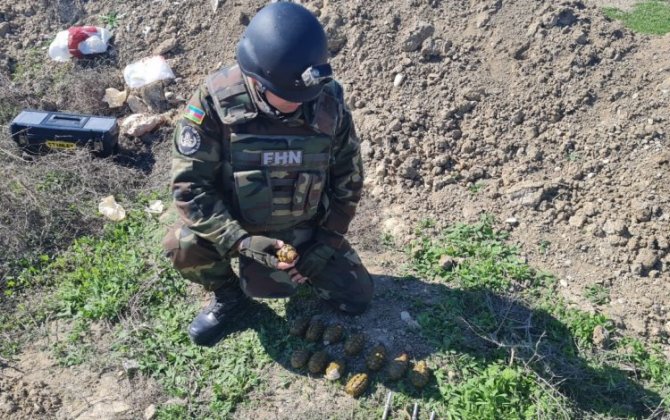 В Хырдалане обнаружено 12 гранат - ФОТО/ВИДЕО