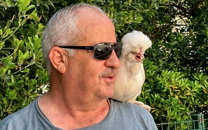 İstanbulda seçici məntəqədə özü ilə gətirdiyi toyuqla səs verib