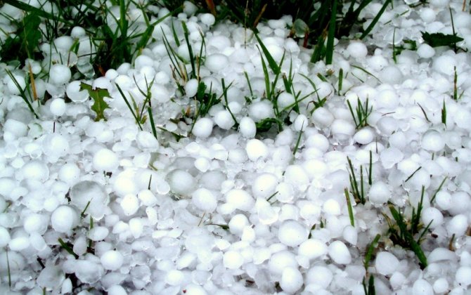 ETSN: İlin bu dövründə dolu və qar xarakterik atmosfer hadisəsidir