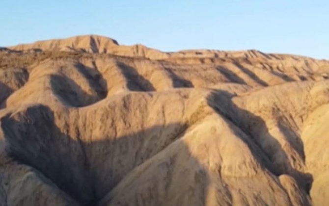 Заповедник в Азербайджане, где обитают редкие животные - ВИДЕО