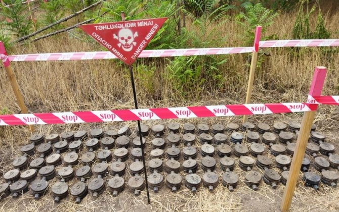 Ermənistanın mina terrorundan zərərçəkənlər və QHT-lər birgə BƏYANAT YAYDI