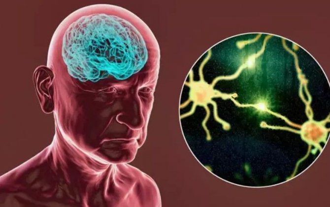 Beyin hüceyrələrini 5 dəfə artırmağın yolları