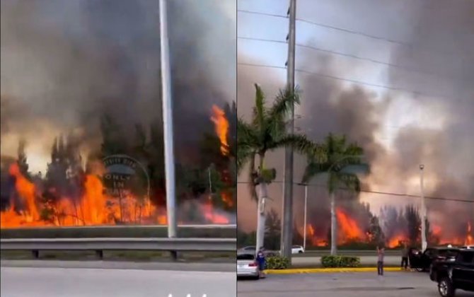 Во Флориде лесной пожар может распространиться на город - ВИДЕО