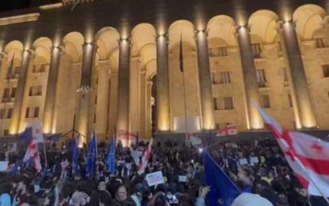 В Тбилиси перед зданием парламента проходит митинг - ВИДЕО