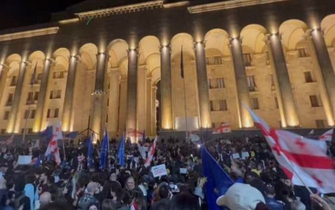 На митинге в Тбилиси полиция задержала 14 человек - ОБНОВЛЕНО + ФОТО/ВИДЕО