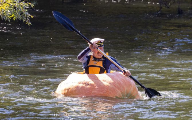 Австралиец проплыл по реке на гигантской тыкве - ВИДЕО