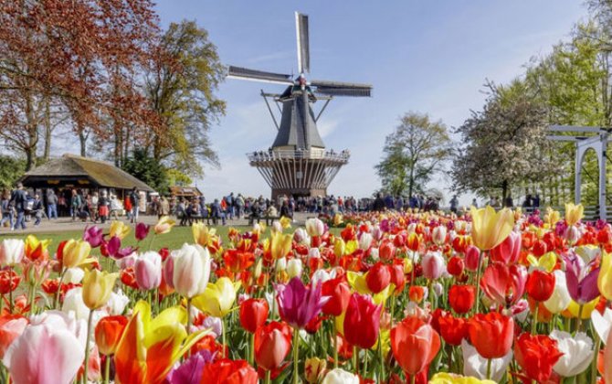 В Нидерландах нашли необычный способ борьбы с переизбытком туристов