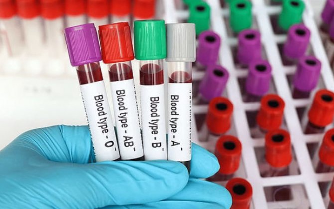 Европейские биологи обнаружили ферменты, превращающие разные группы крови в первую