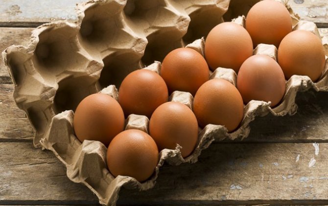 Казахстан ввел временный запрет на ввоз куриных яиц