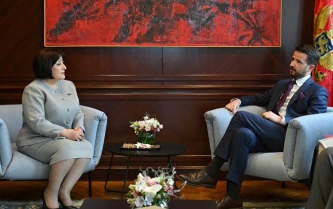 Sahibə Qafarova Monteneqro Prezidenti ilə görüşdü - FOTO