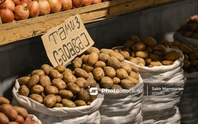 В регионах Азербайджана подешевел картофель? - ВИДЕО