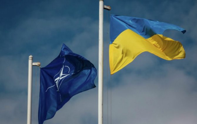 У Байдена исключили прием Украины в НАТО в ближайшие годы