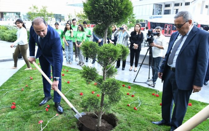 ADNSU-da 30 aprel faciəsinin ildönümü münasibətilə ağacəkmə aksiyası keçrildi - FOTOLAR