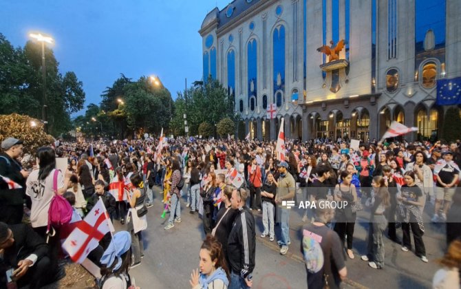 Tbilisidə parlamentin qarşısında etiraz aksiyası bərpa edilib - FOTO