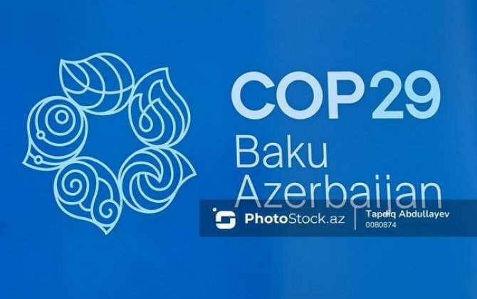 ADB-nin icraçı direktoru: “COP29 Azərbaycanla səmərəli əməkdaşlıq üçün bir fürsətdir”