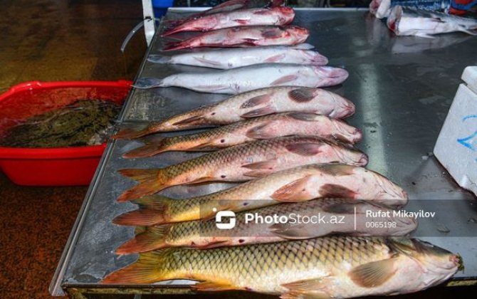 Кутум, берш и кефаль: какую рыбу трудно найти на местных рынках? - ВИДЕО