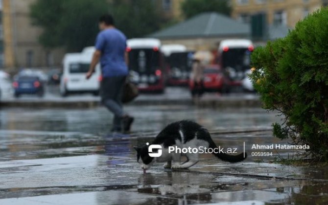 В Баку пройдут дожди, в горных регионах прогнозируется снег