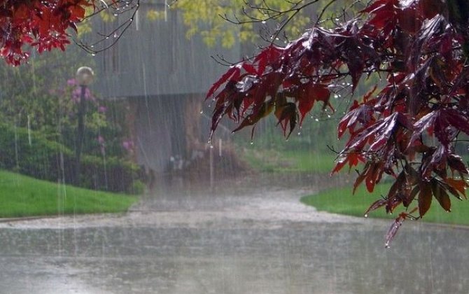 Rayonlarda yağış yağıb, şimal-qərb küləyi əsib - FAKTİKİ HAVA