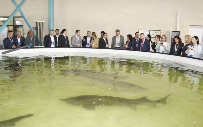 BDU əməkdaşları Neftçalada Beynəlxalq Biomüxtəliflik Gününə həsr edilmiş tədbirdə - FOTO