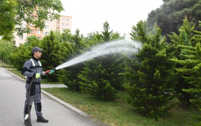 Bakıda növbəti iməclik keçirildi - FOTOLAR