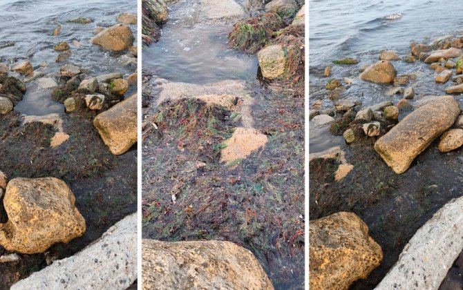 В Госслужбе экобезопасности изучили кадры с якобы загрязнением пляжа в Нардаране