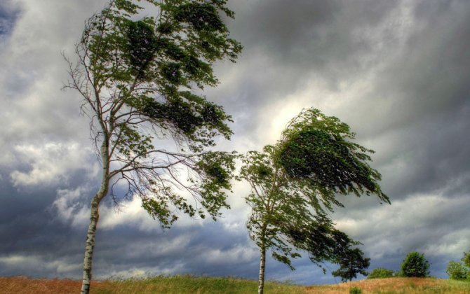 Hava məlumatlarına ciddi yanaşın - XƏBƏRDARLIQ