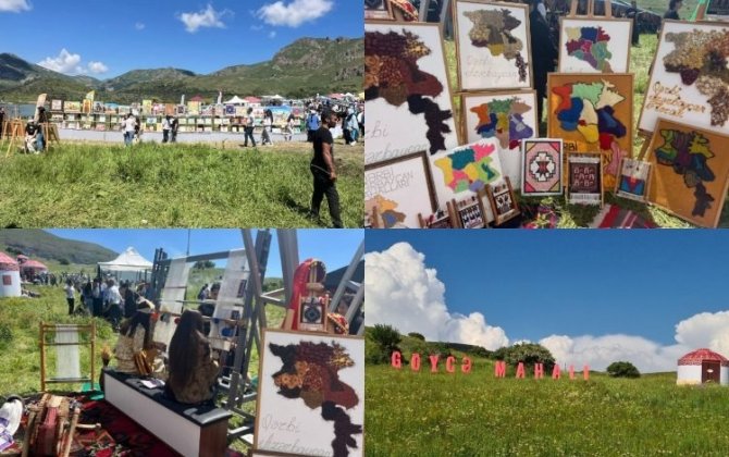 Naxçıvanda “Qərbi Azərbaycana qayıdış” festival-konqresi keçirilir – FOTO/VİDEO