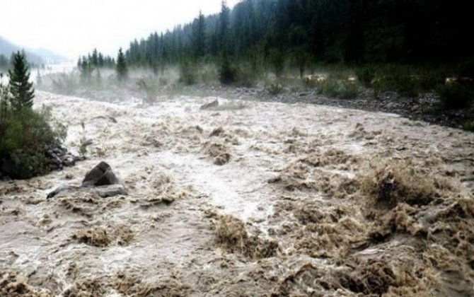 Селевые воды затопили в Гяндже дома и дворы