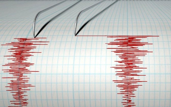 В Венесуэле произошло землетрясение магнитудой 6,1