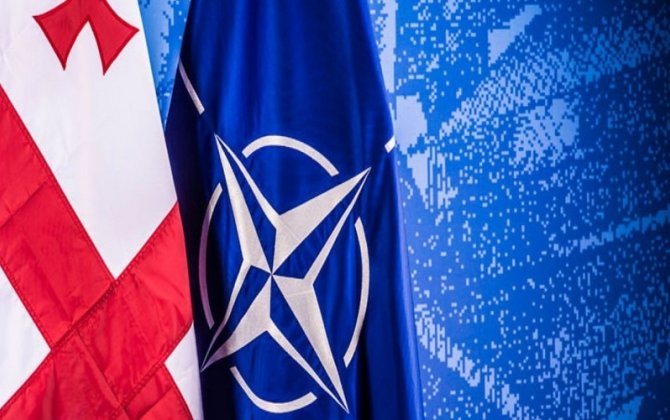 Gürcüstan NATO-nun sammitində iştirak edəcək