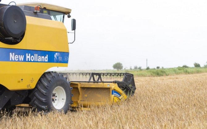 Министерство: Завершена уборка почти на 63% зерновых полей 
