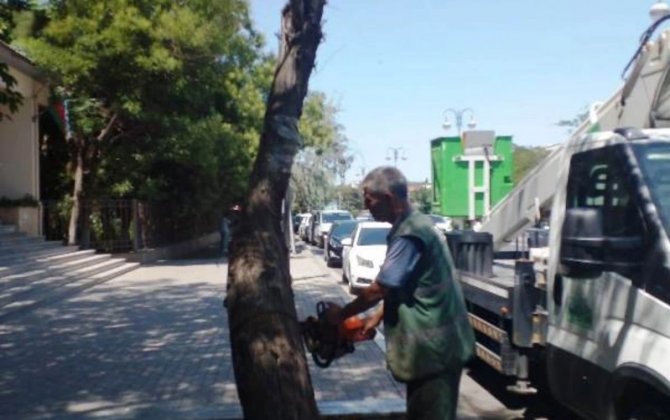 Bakının 12 rayonunda təhlükə: İcra hakimiyyəti hərəkətə keçdi - FOTO