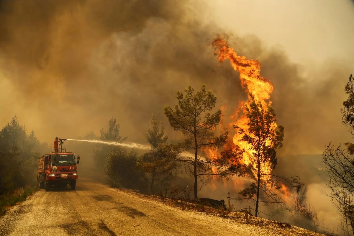 В Турции вспыхнул лесной пожар: есть погибшие