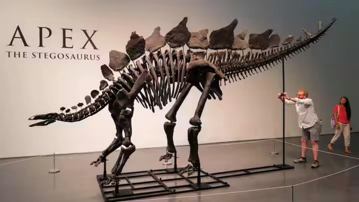 В США на аукционе продали скелет стегозавра за рекордные 44.6 млн долларов-ФОТО