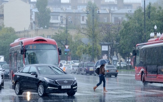 Дорожная полиция предупреждает водителей и пешеходов в связи с дождливой погодой