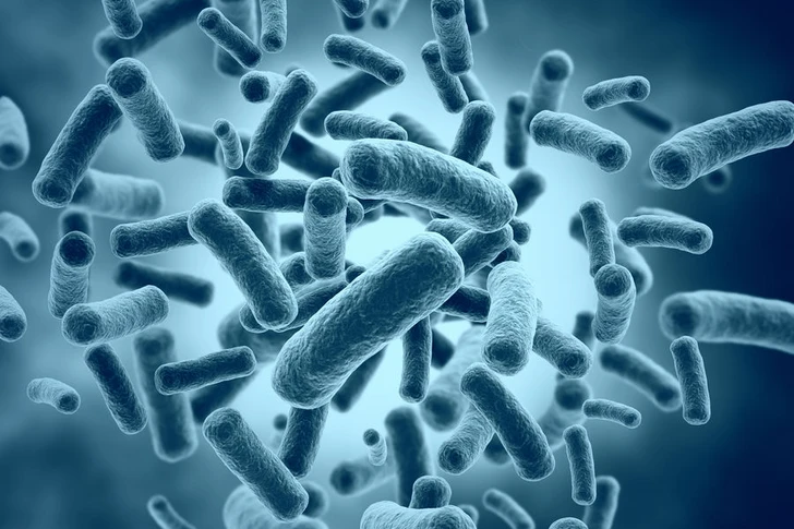Ученые научились управлять мутациями патогенных бактерий