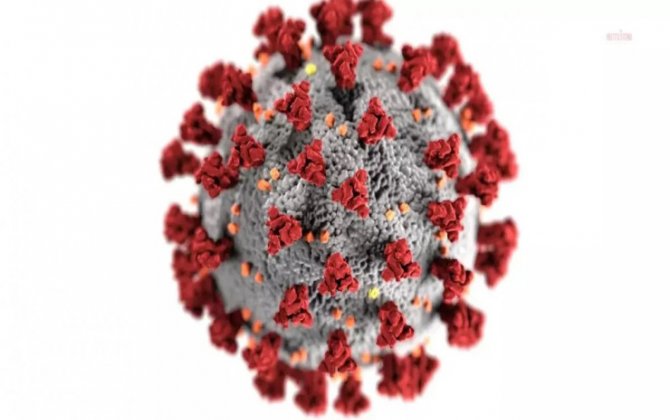 Koronavirusun yay dalğası gəldi: FLiRT sürətlə yayılır