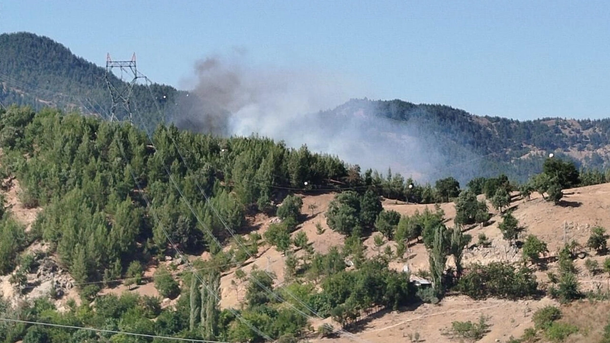 В Турции упал в озеро тушивший лесные пожары вертолет-ВИДЕО