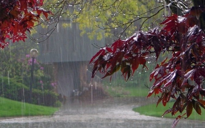 Rayonlarda şimşək çaxıb, arabir yağış yağıb - FAKTİKİ HAVA