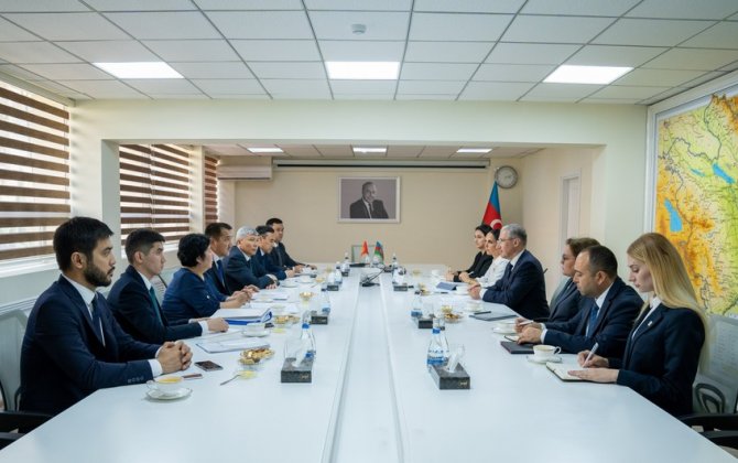 Представители Азербайджана и Кыргызстана обсудили подготовку к COP29