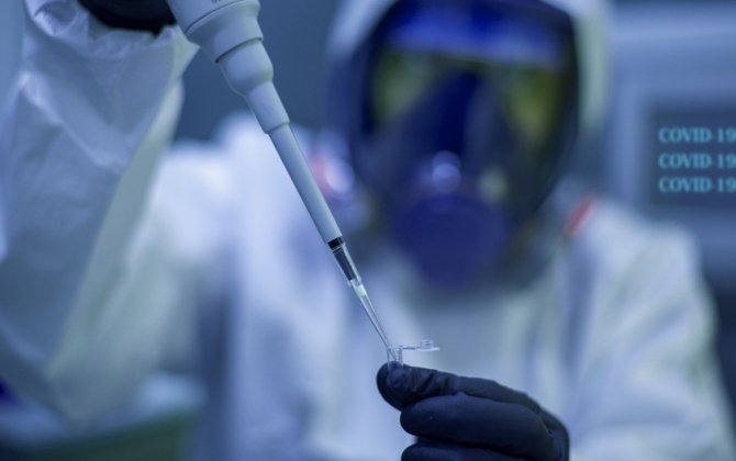 В Украине выявили новый штамм коронавируса