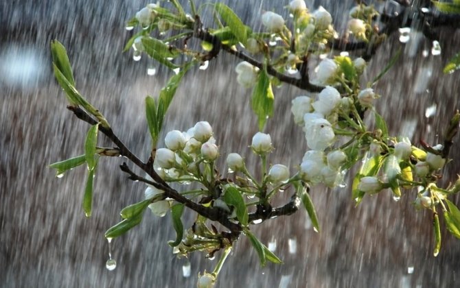 Bu tarixdə hava kəskin dəyişəcək - XƏBƏRDARLIQ