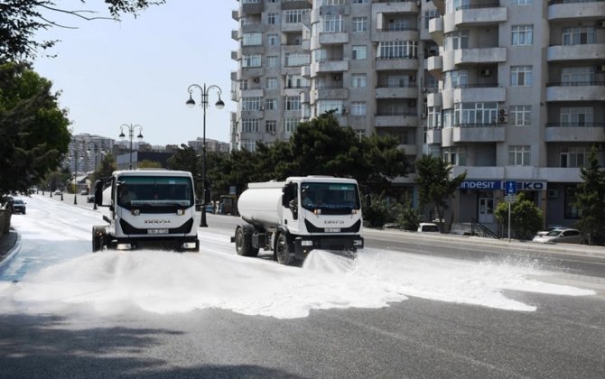 Paytaxtda növbəti dəfə geniş təmizlik işləri aparıldı - FOTO