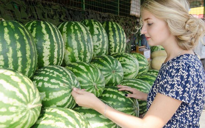 Şirin qarpızı necə seçmək olar? - 7 məsləhət