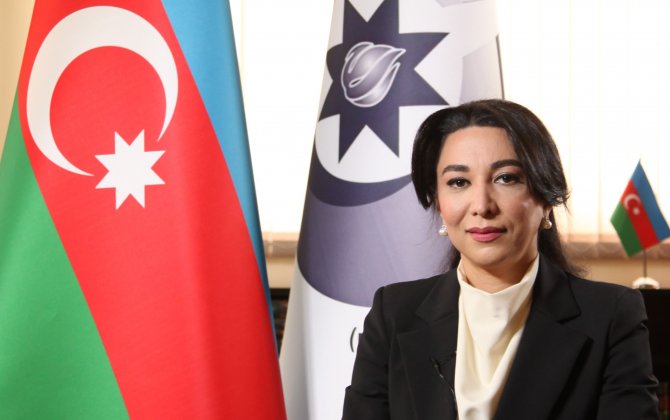 Ombudsman səsvermə hüququndan istifadə edib