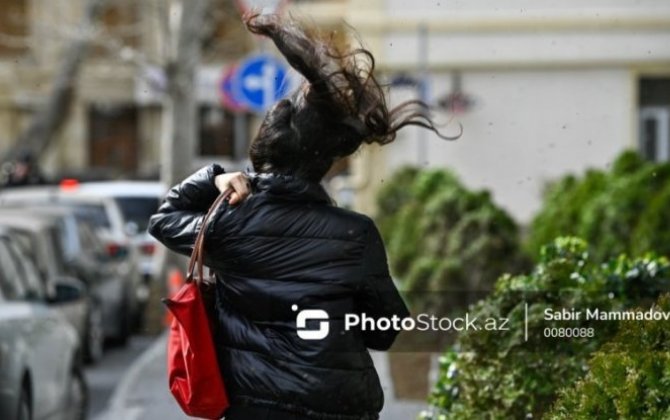 В Баку и на Абшеронском полуострове усилился ветер - ФАКТИЧЕСКАЯ ПОГОДА