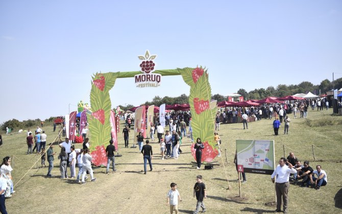 Göygöldə ilk dəfə olaraq “Moruq Festivalı” keçirilir