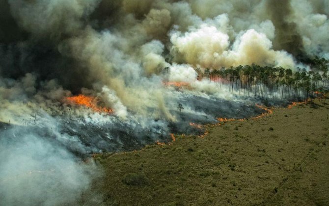 Amazonda yerli əhali qırıla bilər: Yanğınlar insanları boğur