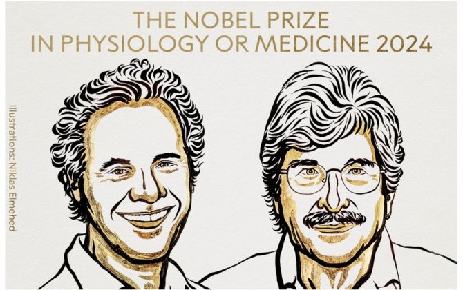 Tibb üzrə Nobel qalibləri açıqlandı